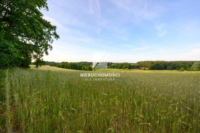 Kameralne działki budowlane w Kłodawie, 17-25 ar