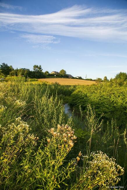Działka budowlana- Siemiechów- Małopolska