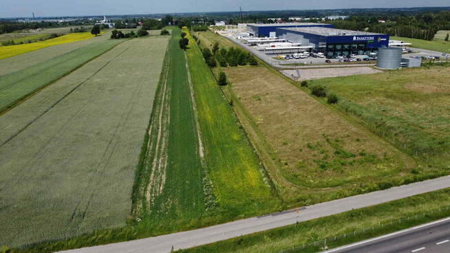 Działka inwestycyjna 2,9 Ha Ujrzanów