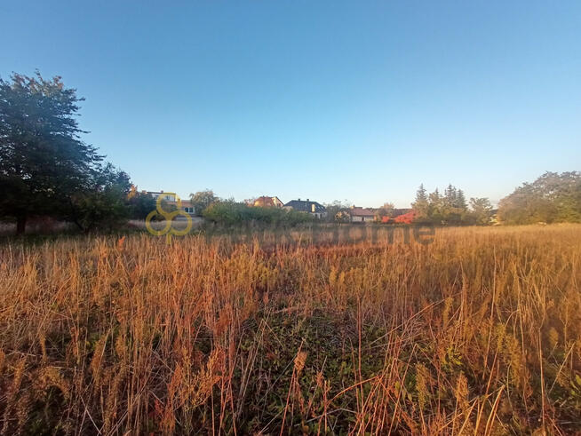 Działka budowlana Rydzyna, Wolności