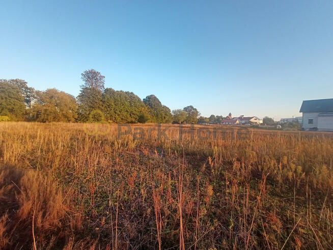 Działka budowlana Rydzyna, Wolności