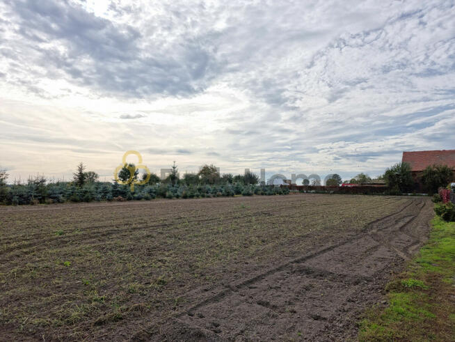 Działka budowlana Stara Góra gm. Góra,