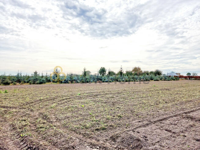Działka budowlana Stara Góra gm. Góra,