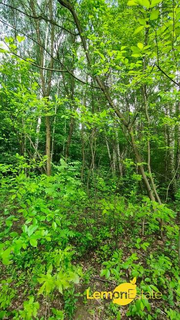 Na Sprzedaż: Dwie wyjątkowe działki budowlane w Komorowie