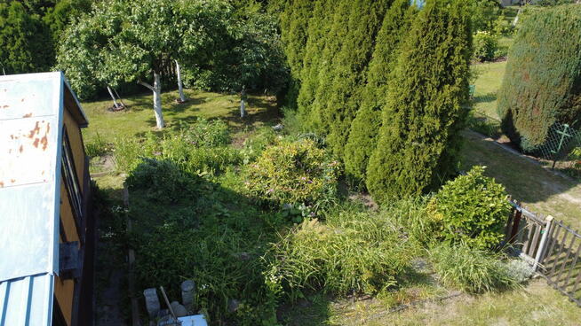 Działka ROD we Włodawie (7 km od jez. Białego)