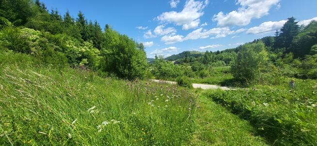 Łapsze Niżne dziłaka bud-rolna