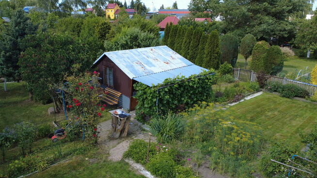 Działka ROD we Włodawie (7 km od jez. Białego)