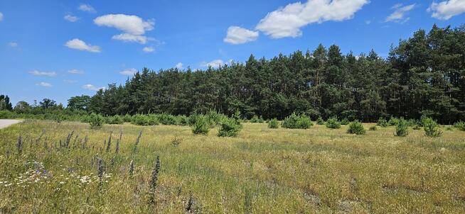 Działka bud. 1090M2; 1341M2; Nowa Wola