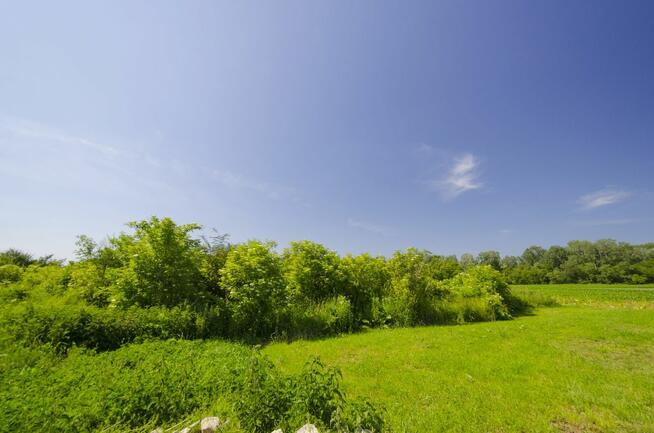 Działki budowlane w Tuczempach – atrakcyjne lokalizacje,