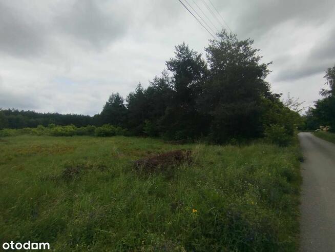 2 DZIAŁKI Z WARUNKAMI ZABUDOWY 2725m2 i 6110m2/