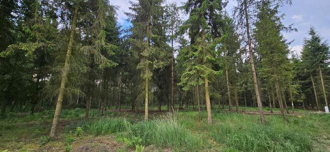 Działki bud. 1202M2; WZ; STUDNIE