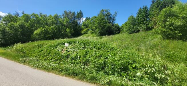 Łapsze Niżne dziłaka bud-rolna