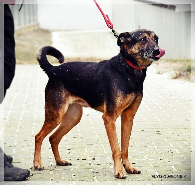 Szener – tak rzadko się uśmiecha