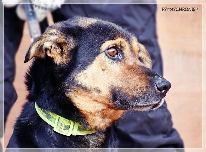 Bastek - wspaniały Przyjaciel z wielkim sercem