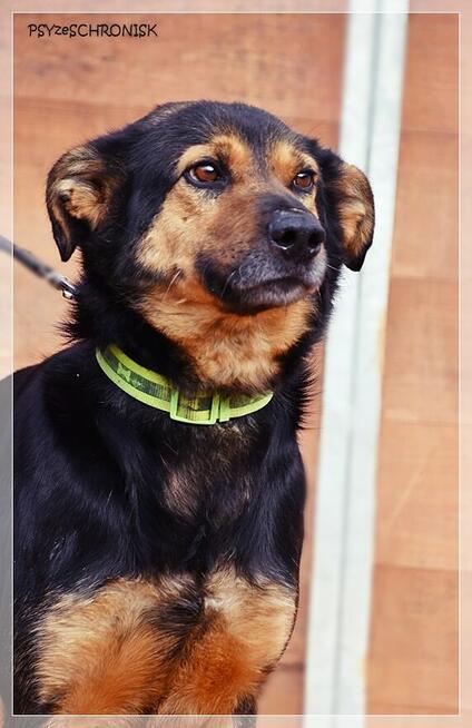 Bastek - wspaniały Przyjaciel z wielkim sercem