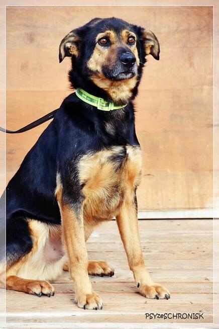 Bastek - wspaniały Przyjaciel z wielkim sercem