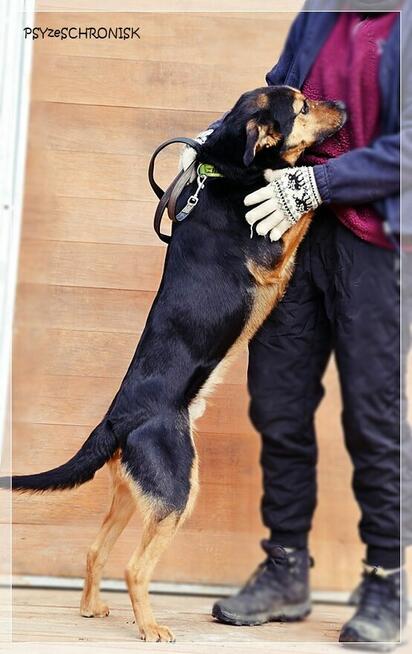 Bastek - wspaniały Przyjaciel z wielkim sercem