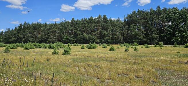 Działka bud. 1090M2; 1341M2; Nowa Wola