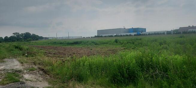 Kraków ul. Igołomska 88 arów U/MN działka sprzedam