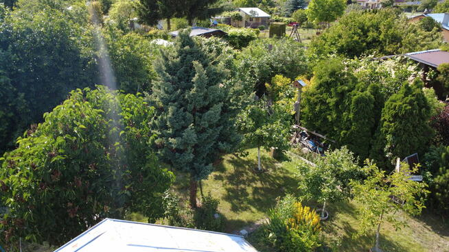 Działka ROD we Włodawie (7 km od jez. Białego)