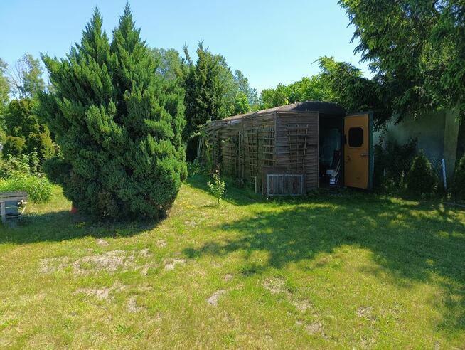 Działka rekreacyjna ROD Benedy w Bydgoszczy!!!