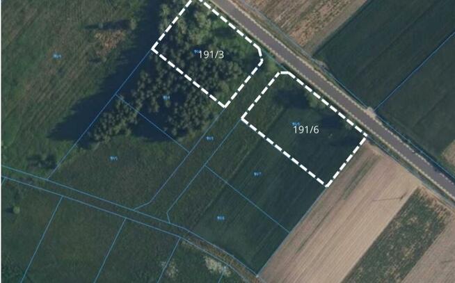Złotoplice, Działki, BEZPOŚREDNIO