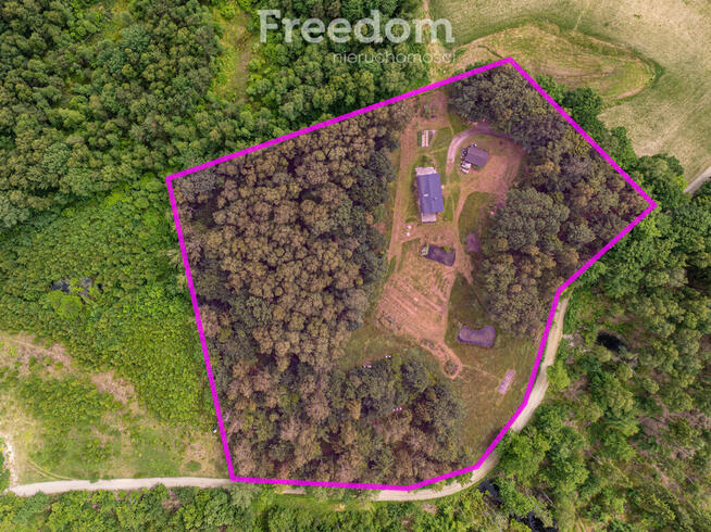 Duży teren z własnym lasem 12 minut od obwodnicy