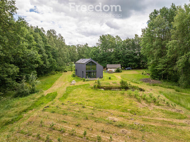 Duży teren z własnym lasem 12 minut od obwodnicy