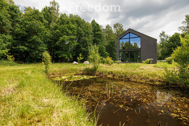 Duży teren z własnym lasem 12 minut od obwodnicy