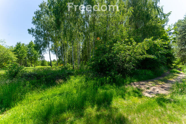 Zielona przystań pod Warszawą – działki w Osiecku