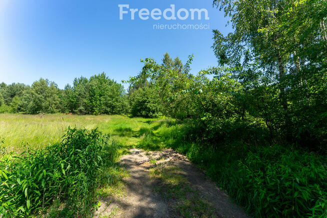 Zielona przystań pod Warszawą – działki w Osiecku