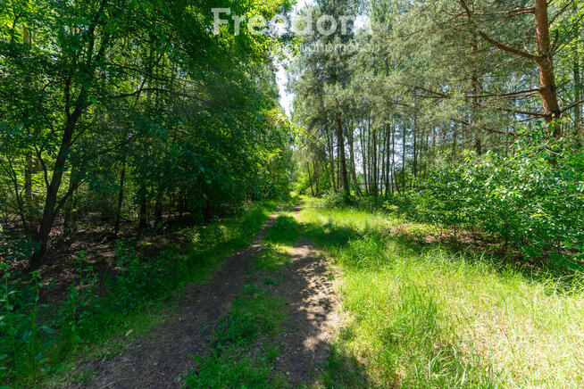 Zielona przystań pod Warszawą – działki w Osiecku