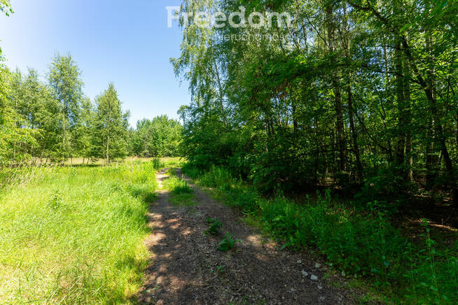 Zielona przystań pod Warszawą – działki w Osiecku