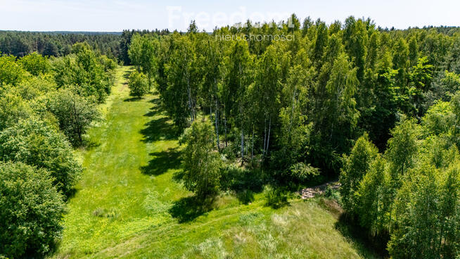 Zielona przystań pod Warszawą – działki w Osiecku