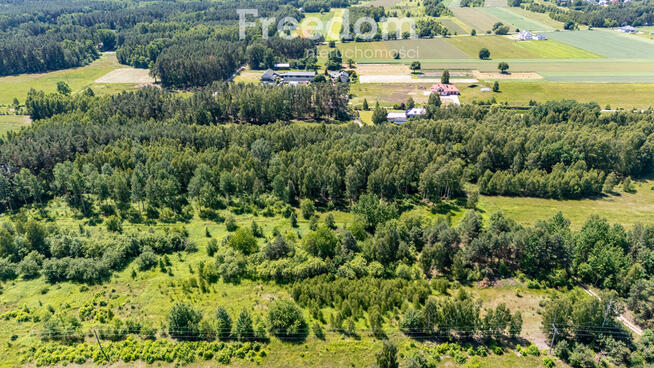 Zielona przystań pod Warszawą – działki w Osiecku