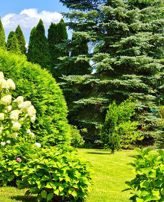 Dom Warzyce gm. Jasło