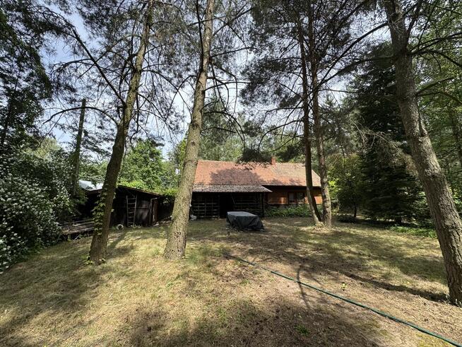 Piękne siedlisko 1645 m2 ze stawem w Błogoszczy