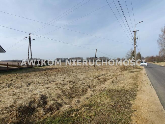 Działka Białowieża Zastawa Krzyże