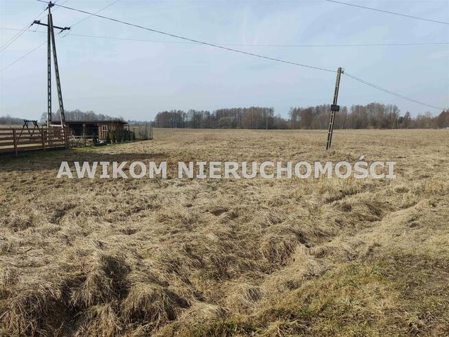 Działka Białowieża Zastawa Krzyże