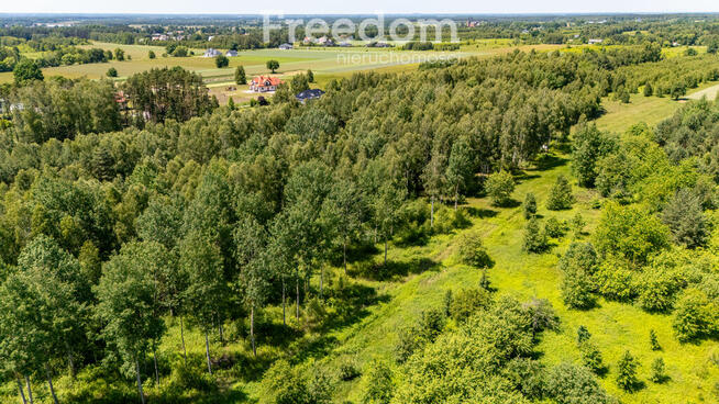 Zielona przystań pod Warszawą – działki w Osiecku