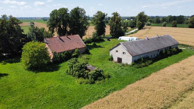 Siedlisko na żuławach elbląskich