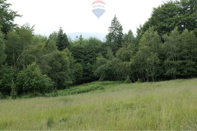 Wzgórze, las i przestrzeń – Twoje miejsce w górach