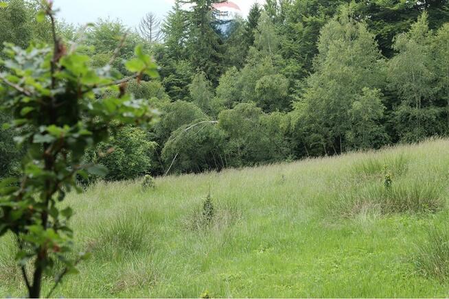 Wzgórze, las i przestrzeń – Twoje miejsce w górach