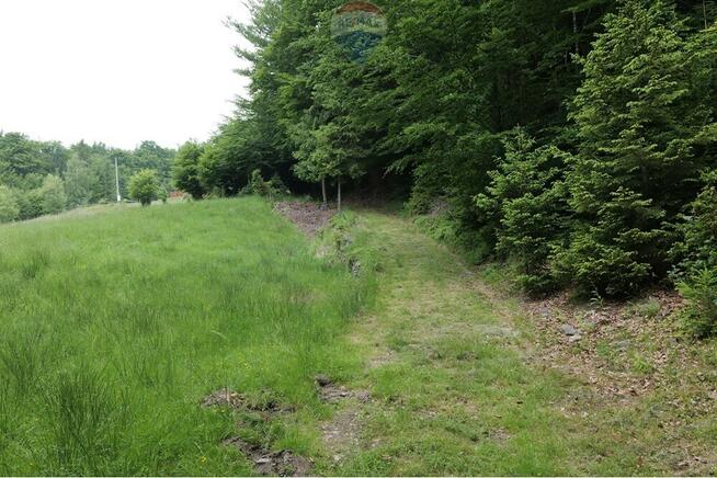 Wzgórze, las i przestrzeń – Twoje miejsce w górach