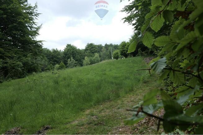 Wzgórze, las i przestrzeń – Twoje miejsce w górach