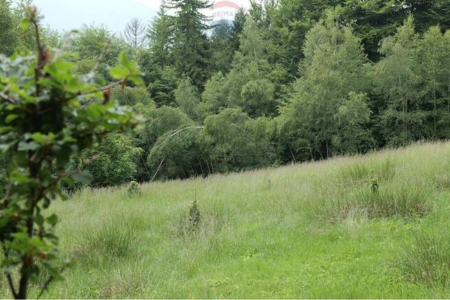 Wzgórze, las i przestrzeń – Twoje miejsce w górach