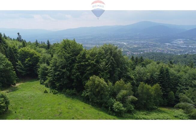 Wzgórze, las i przestrzeń – Twoje miejsce w górach