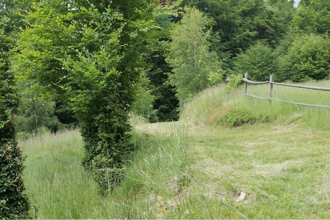 Wzgórze, las i przestrzeń – Twoje miejsce w górach