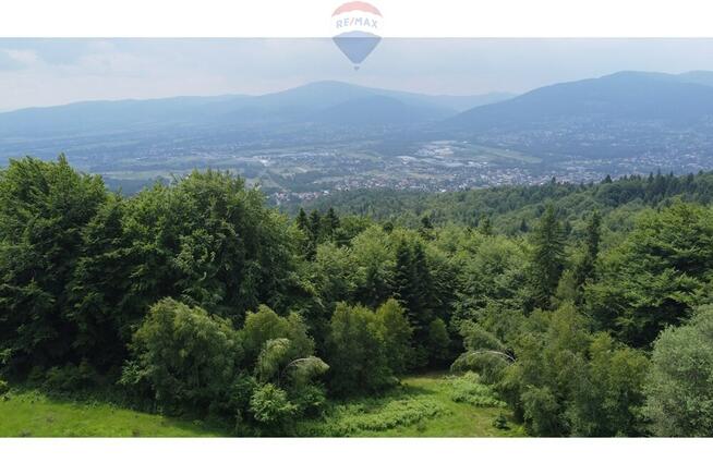 Wzgórze, las i przestrzeń – Twoje miejsce w górach