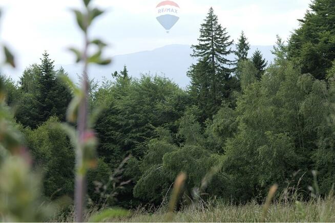 Wzgórze, las i przestrzeń – Twoje miejsce w górach